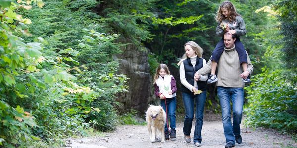 cr=w_600,h_300 Family hiking with dog in woods.